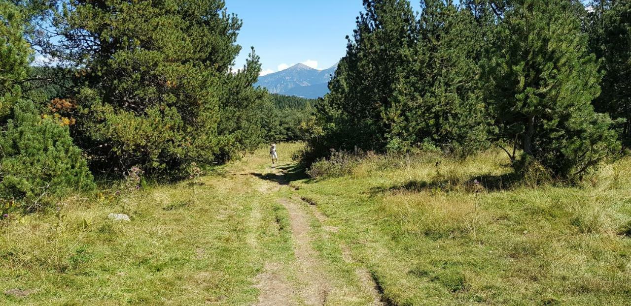 Apartament Font-Romeu Vue Imprenable Wifi Gratuit Zewnętrze zdjęcie
